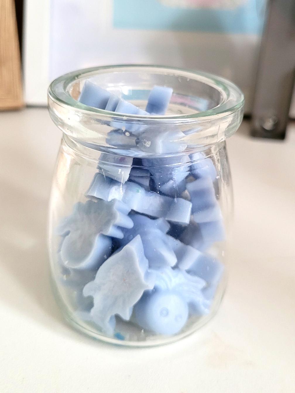 Ocean animal Wax Melts